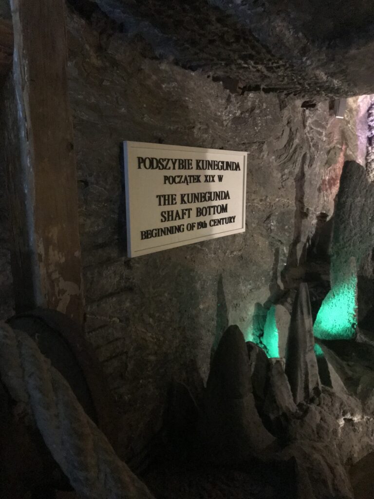 Bezoek Krakau - Saltmine